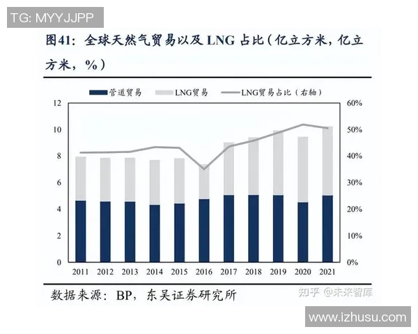 LNG市场竞争新策略深度分析与解读